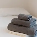 Salvia *